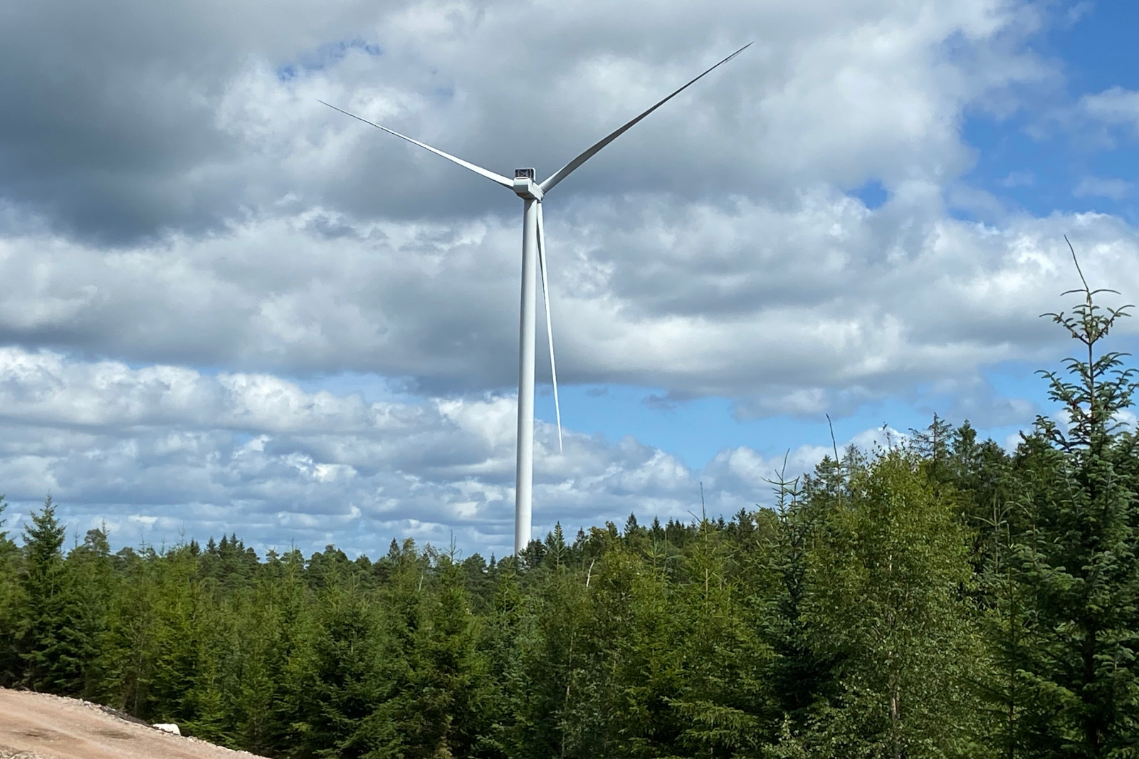 En hög vindkraftverk står bland en tät skog, under en molnig himmel, med träd som omger området.