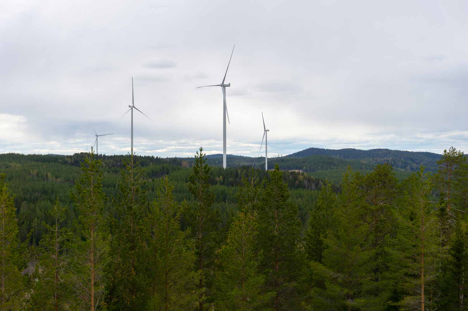 Vindkraftverk reser sig över en grönskande skog med berg i bakgrunden under en molnig himmel.
