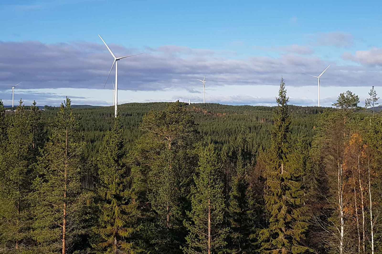 En vy av en skog med vindturbiner i fjärran under en blå himmel med moln.
