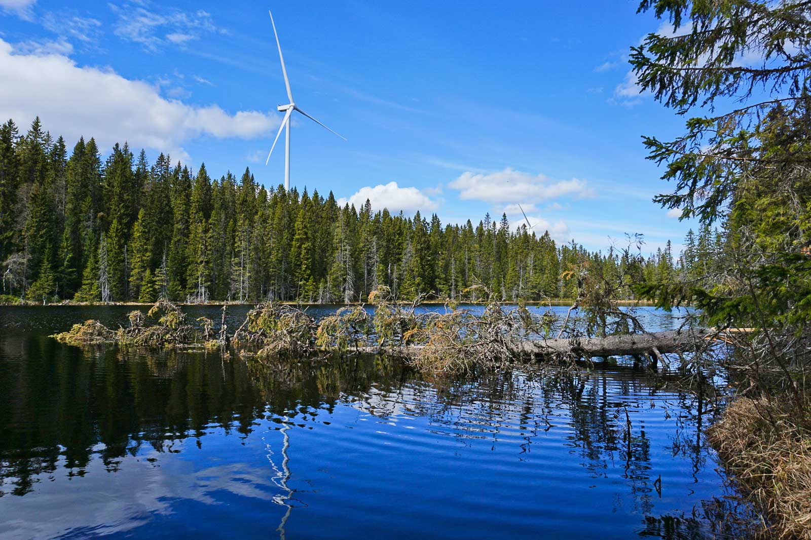 A serene landscape featuring a calm lake, surrounded by lush green trees and a wind turbine against a blue sky.